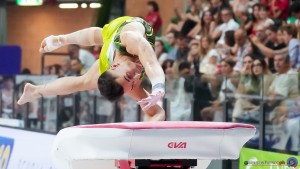 gam sfe06217 copia simone ferraro ph